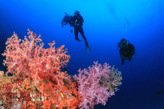 Scuba dive underwater coral reef
