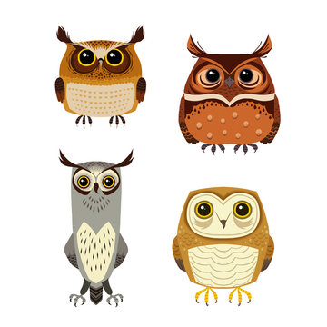 Owl cartoon character set