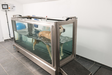 Physiothérapie hydrothérapie permet grace à l'action physique un traitement non pharmacologique