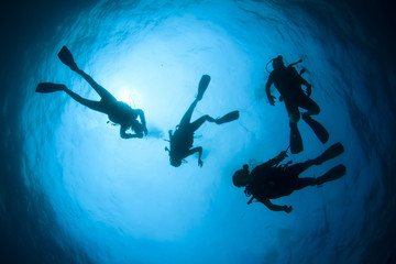 Obraz na płótnie Canvas Scuba divers diving