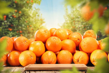 Fototapeta na wymiar orange fruits and leaves 