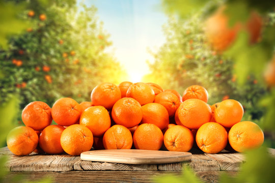 orange fruits and leaves 