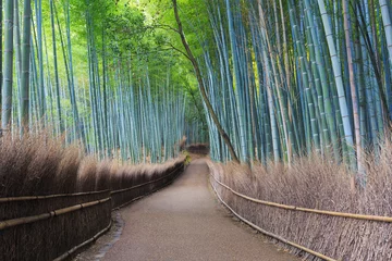 Zelfklevend Fotobehang Arashiyama-bamboebos in Kyoto, Japan © Supachai