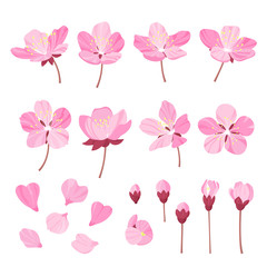 Set of beautiful cherry tree flowers isolated on wite background. Collection of pink sakura or apple blossom, japanese cherry tree. Floral spring design elements.Cartoon style vector illustration - 132338683