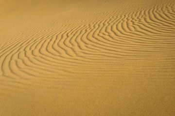 Pattern of sand dune of Maranjab Desert in Iran