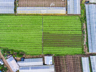 Aerial View of Plantation and Greenhouse in Samll Village on Mou