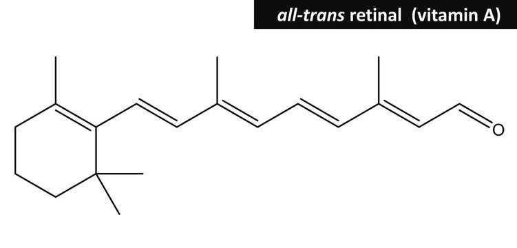 Molecular structure of retinal (vitamin A)