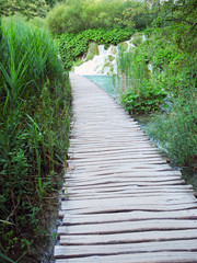 Wooden footpath above the lake.
