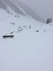 valle aurina