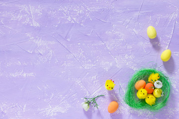 Colorful Easter eggs in the nest and chicks, top view, space for