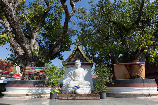 white buddha at Phitsanulok Province, Thailand.