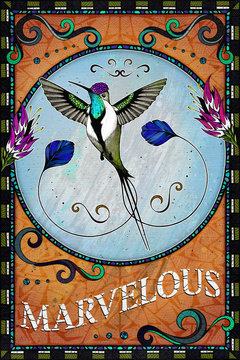 Marvellous spatuletail hummingbird motif, illustration 