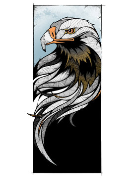 Eagle, illustration 