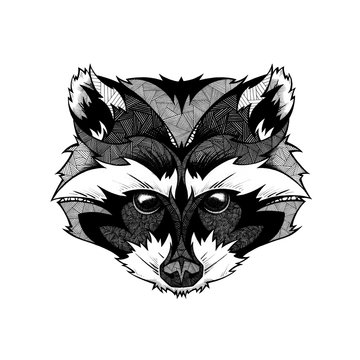 Raccoon head, illustration, black and white 
