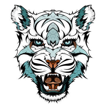 Snow leopard head, illustration 