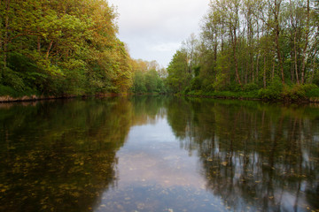 Fototapeta na wymiar Frühling am Fluss