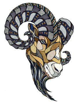 Ram head, illustration 