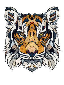 Tiger head, illustration 
