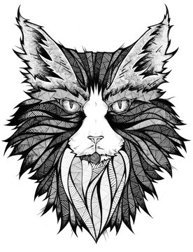Cat head, illustration, black and white 