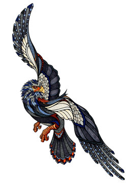 Falcon, illustration 