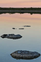 Stromatolites at Lake Thetis