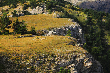 Autumn mountain plateau and forests