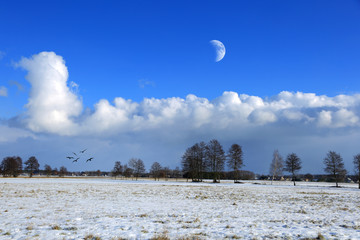 Pola pokryte śniegiem zimą, księżyc i ptaki.