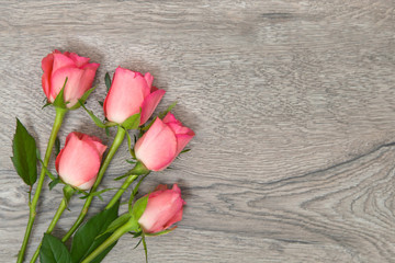 Rosen auf Holzhintergrund
