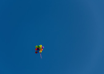 bunch of colorful balloons filled with helium fly away in the sky