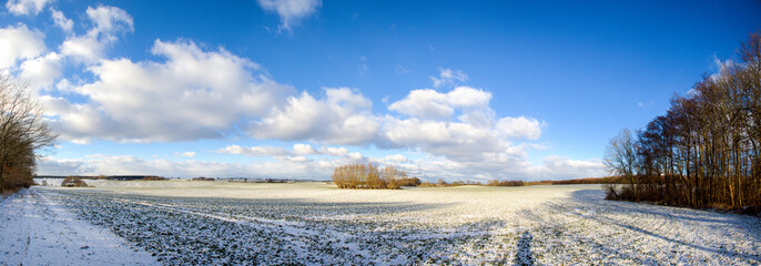 panorama of snow covered agricultural fields in winter with blue sky