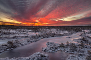 Fiery winter dawn in the bog