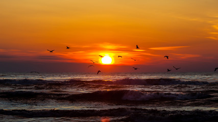 Sunset. Beautiful sunset Black sea. Gold sea sunset