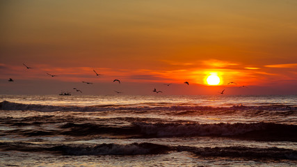 Sunset. Beautiful sunset Black sea. Gold sea sunset