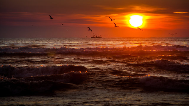 seiner on a Black Sea, Poti, Georgia