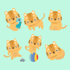 Yellow domestic cat set.