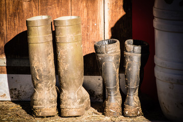 Stallstiefel