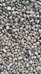 Texture background of river pebbles