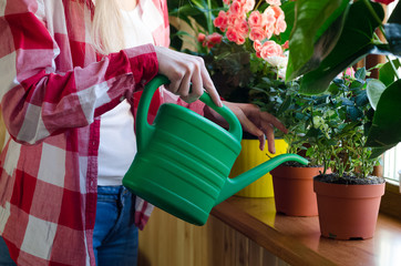 Hand watering a home plant with green can