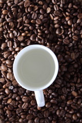 empty cup