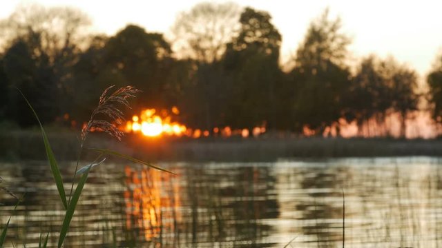 A beautiful sunset at Lake Sirvena, Birzai, Lithuania