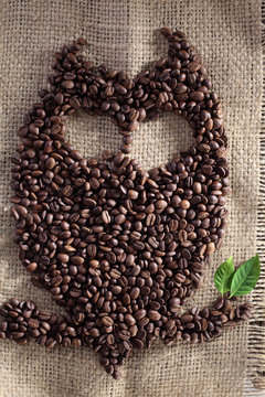 owl coffee