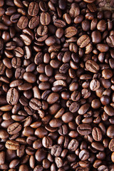 roasted coffee bean