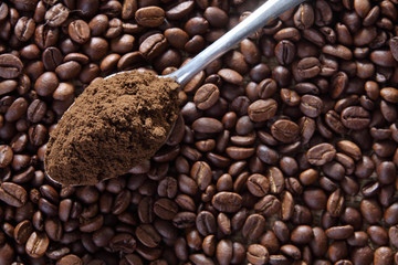 coffee
