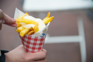 Dutch fries with mayonnaise