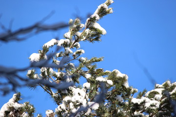 Schnee an der Ostsee