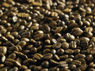 roasted coffee bean
