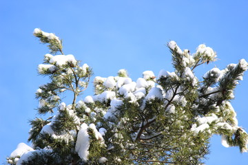 Schnee an der Ostsee