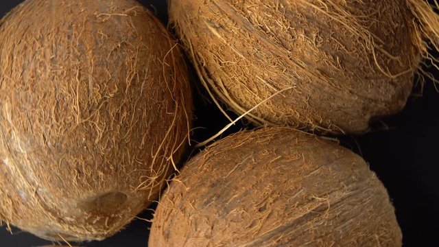 Three ripe tropical coconuts rotating on a black background. Tropical fruits and food concept. Loop,