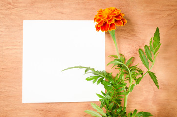 Empty Paper Sheet With Flowers on Rustic Wooden Background.