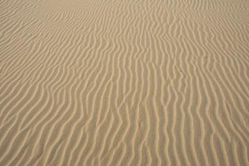Fototapeta na wymiar Textured Sea Sand from Above